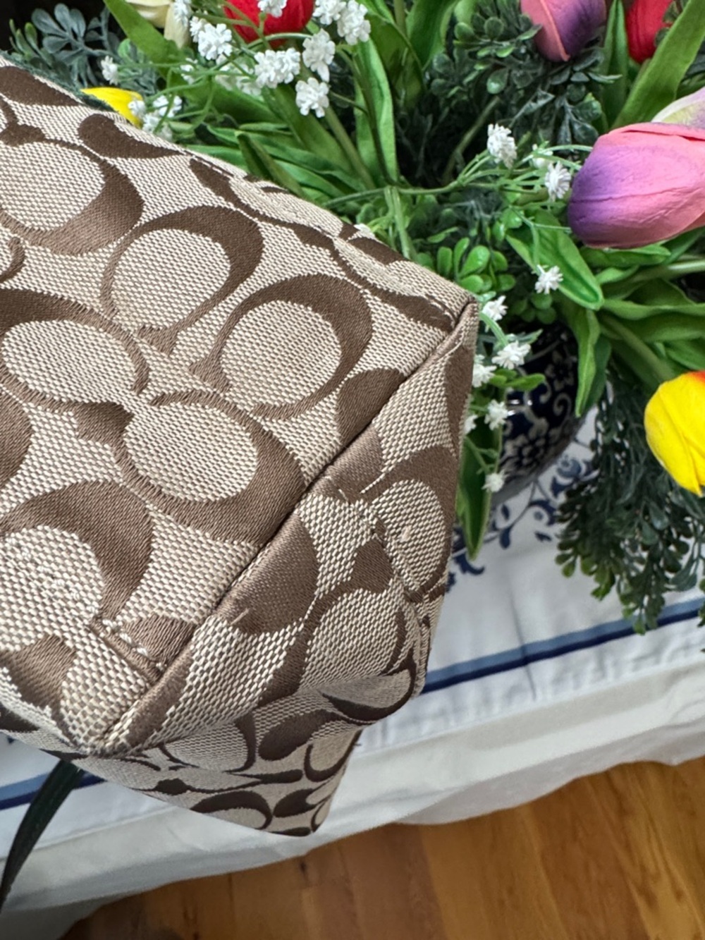 Coach Brown Signature Tote with Dark Green Python F25706 - Picture 13 of 15